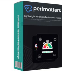 Performatter Premium – Best WordPress Formatting Plugin